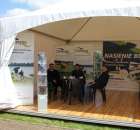 VII Ogólnopolska Wystawa Bydła Hodowlanego - 129