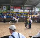 Młody Hodowca - Szepietowo 2012 - 89