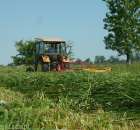 Koszenie trawy ciapusiem;d
