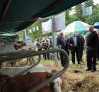 XX Targi Rolnicze Lubniewice