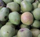 Fotoreportaż z XI Międzynarodowych Targów Fermy Bydła