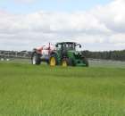 Zielone Agro Show Kąkolewo - Polskie Zboża  - 111