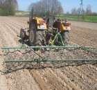 Bronowanie ziemniaków.