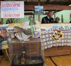 Fotoreportaż z XIV Spotkań Tradycji Wielkanocnych Ziemi Kłodzkiej