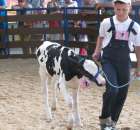 Młody Hodowca - Szepietowo 2012 - 79