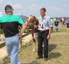 Nagordy dla superchampionów i championów  - 81