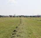 Zielone Agro Show pokaz maszyn rolniczych