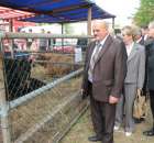 XX Targi Rolnicze Lubniewice