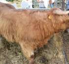 XX Targi Rolnicze Lubniewice