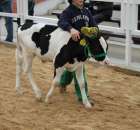 Mali hodowcy Sielinko 2012 - 33