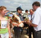 Nagordy dla superchampionów i championów  - 68