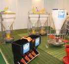 Fotoreportaż AGROTECH, LAS EXPO 2011