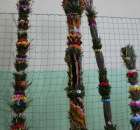 Fotoreportaż z XIV Spotkań Tradycji Wielkanocnych Ziemi Kłodzkiej