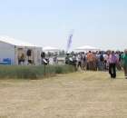 Polskie Zboża 2011 - Sobota