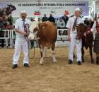 Prezentacja Championów na VII Ogólnopolskiej Wystawie Bydła Hodowlanego w Sielinku 2012 - 32