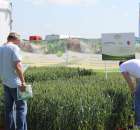 Polskie Zboża 2011 - Sobota