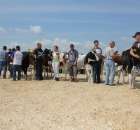 Nagordy dla superchampionów i championów  - 77