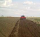 Akcja siew 2012 - 12