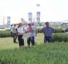 Polskie Zboża 2011 - Sobota