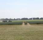 Polskie Zboża 2011 - Sobota