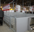 Foto reportaż z Międzynarodowych Targów Hodowli Zwierząt FARMA