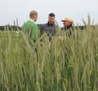 Pokazy Maszyn Polskie Zboża Zielone Agroshow 2012 - 11