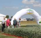 Polskie Zboża 2011 - Sobota