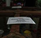 Gołębie Mnich Turgawski Czarny