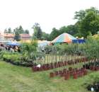 XX Targi Rolnicze Lubniewice