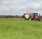 Zielone Agro Show Kąkolewo - Polskie Zboża  - 95