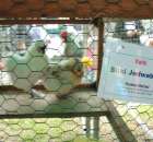 Kurki Silki Jedwabiste