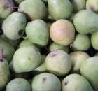 Fotoreportaż z XI Międzynarodowych Targów Fermy Bydła