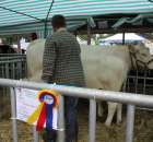 Relacja Foto Agro-Tech Minikowo 2012 - 61