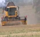 Żniwa [ NH CX8060 ].