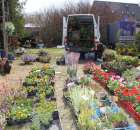 Fotoreportaż z XX Agro-Targów 2011 w Starej Łubiance