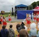 Występy artystyczne odbywające się podczas Dni Indyka