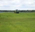 Zielone Agro Show Kąkolewo - Polskie Zboża  - 138