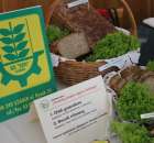 XXII Targi Rolniczo-Ogrodnicze Kościerzyn 2012 - 12