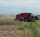 Massey Ferguson Activa 7244  