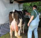 Relacja Foto Agro-Tech Minikowo 2012 - 65