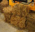 Fotoreportaż AGROTECH, LAS EXPO 2011