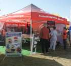 Zdj. - 418 - LITEX ZPH STANISŁAW LITWIN