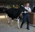 Bydło - Szepietowo 2012 XIX Regionalna Wystawa Zwierząt Hodowlanych - 75