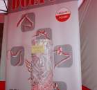 Fotoreportaż z XX Agro-Targów 2011 w Starej Łubiance