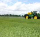 Zielone Agro Show Kąkolewo - Polskie Zboża  - 140