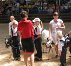 Młody Hodowca - Szepietowo 2012 - 48