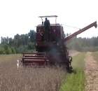 Żniwa [ Bizon Z056 ].