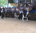 Młody Hodowca - Szepietowo 2012 - 75