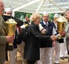 VII Ogólnopolska Wystawa Bydła Hodowlanego - 28