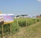 Polskie Zboża 2011 - Sobota